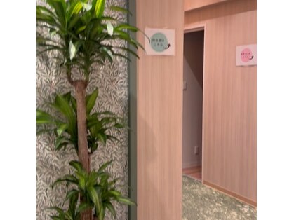 リノ(Lino)の写真