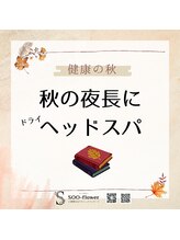 スーフラワー(SOO-flower)/夜のサロンで