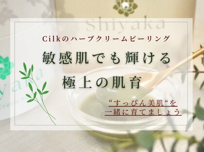 シルク(Cilk)の写真