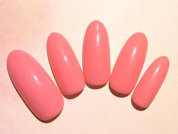 テディプラス(Teddy+)/ワンカラー