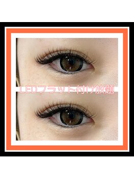 ティーイー(TE)/LEDフラット付け放題