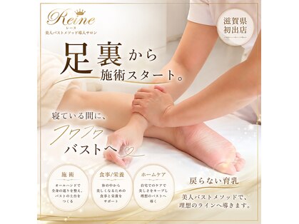 Reine【9/19 NEW OPEN（予定）】の写真