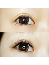 ルピナス(Lupinus)/LEDボリュームラッシュ600本