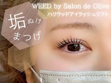 ウィード 橿原店(WEED by サロンドオリーブ)/ハリウッドラッシュリフト