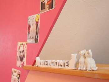 月猫/◆インテリア