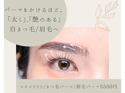 エステ ド あーとの写真