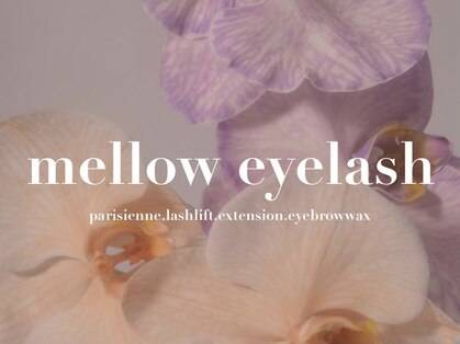メロウアイラッシュ(mellow eyelash)の写真