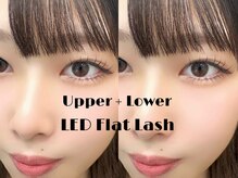 ニコ(Niko)/大人気下まつげエクステ