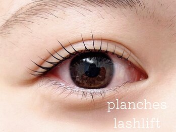 ウィスタリア フィールドプランシュ(WISTARIA FIELD-PLANCHES)/根元からしかり！