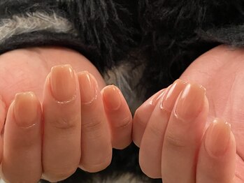 マイヒーロー(myhero)/オフィスカラー