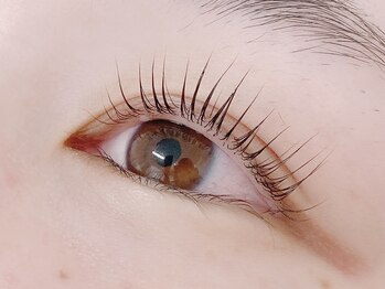 マーキュリーカール バイ リゴレット(Mercury Curl by RIGOLETTO)/パリジェンヌラッシュリフト