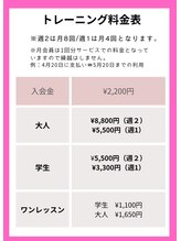 ひらい接骨院 前橋院/トレーニング料金表