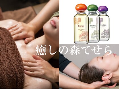 癒しの森 てせらの写真