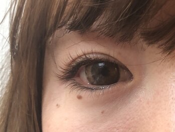 アトリエ カトン(Atelier katong)/