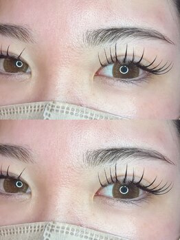 キャッツアイ(cat's eye)/まつパ & フラット120本