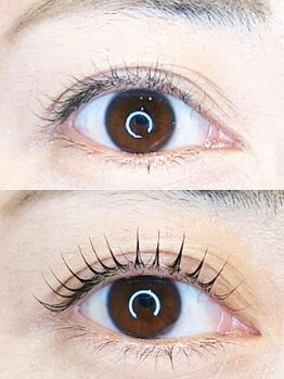 キコ(KIKO)/下がりまつげもしっかり立ち上げ