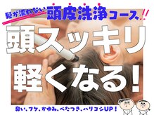 きれいのお店