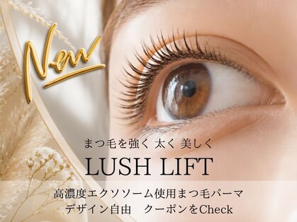 ワンアップ(One-up)の写真