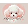 ハニーネイル(Honey nail)のお店ロゴ