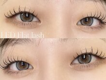 プラス サード(Plus 3rd)/LED flat lash