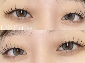 プラス サード(Plus 3rd)/LED flat lash