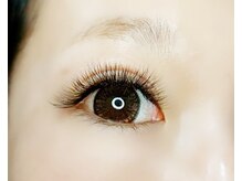 ルピナス(Lupinus)/LEDボリュームラッシュ600本