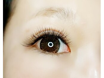 ルピナス(Lupinus)/LEDボリュームラッシュ600本