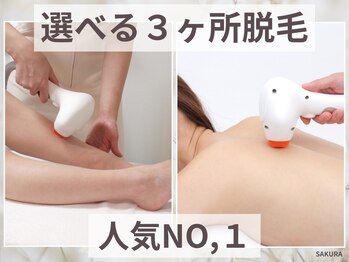 フェイスアンドボディルーム サクラ(SAKURA)の写真/夏に向けて脱毛!お好きなパーツを選べる3箇所を都度払いでお試ししてみませんか☆