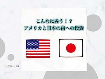ホワイト つくば店(WHITE)/日本とアメリカの投資額