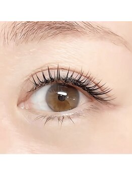 ラグーン(LAGOON)/フラットラッシュ