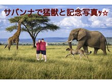 コソラ(KOSORA)の雰囲気（ちょっぴりスリリングなサバンナ）