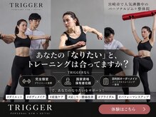 トリガー(TRIGGER)