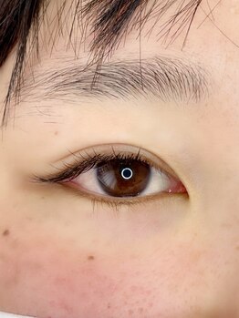 ルピナス 国分寺店(Lupinus)/LEDフラットラッシュ120本