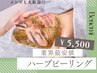 ハーブピーリング【業界最安値】1日3組様限定◆ニキビケア/毛穴ケア/肌質改善