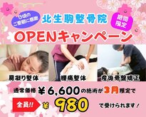 北生駒整骨院 本院