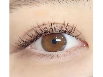 ラグーン(LAGOON)/フラットラッシュ