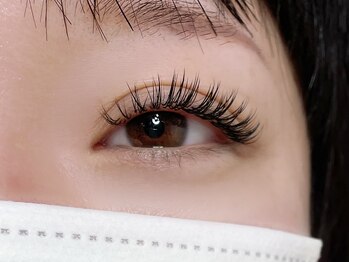 リプリ(RePuli)/ダブルフラット160束