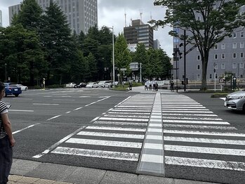 エミュ(emu)/目の前の信号を錦町公園方面へ
