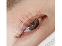 モアアンドモア(More&More)/テラコッタ/カーキ