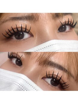 ダリア(Dahlia)/バインドロック１６０束★