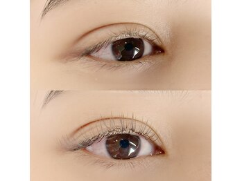 メメミュール(meme meulu-)/フラットラッシュ