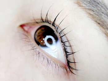 ラッシュスタイル バイ トーン(Lash style by TONE)の写真/話題のマスカラパーマ【ブラックティント×似合わせまつげパーマ】で自まつげ以上マスカラ未満の仕上がり♪