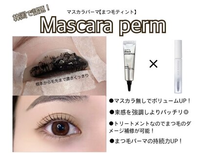 カミエニコ(Kamienico)の写真