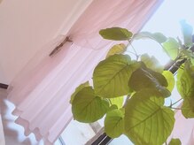 リリーミー(Lily Me)の雰囲気（アロマ香るゆったり空間で品よくセンスの良い目元に【まつげ】）