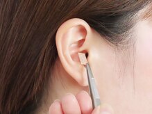 コスモス/サイズダウンを目指したい