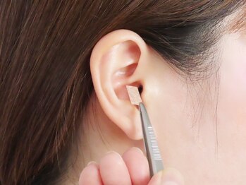 コスモス/サイズダウンを目指したい