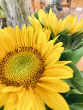 わたなべ整体院/