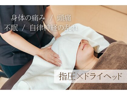 ストック(Stock)の写真
