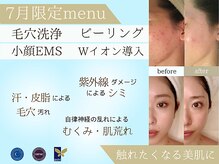 ホワイトカメリア(White Camellia)