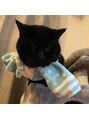 エイム(Aim) 我が家の愛猫(よもぎさん)本人は猫だとは思ってません…